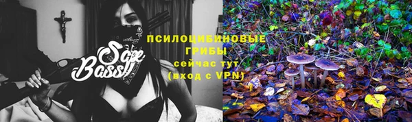 молекула духа Абдулино