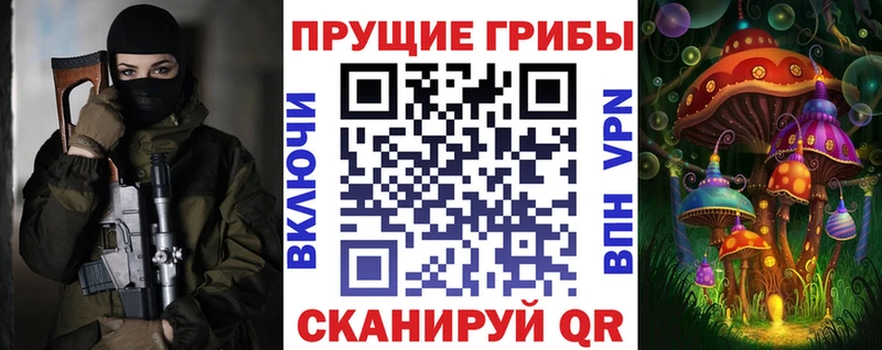 сколько стоит  Шарья  Псилоцибиновые грибы Psilocybe 