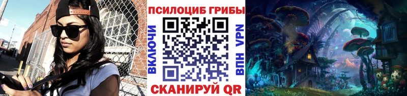 Галлюциногенные грибы Cubensis Шарья
